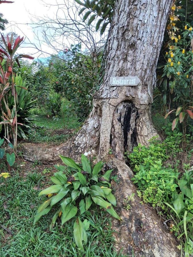 Forest Garden Residence Bilar エクステリア 写真